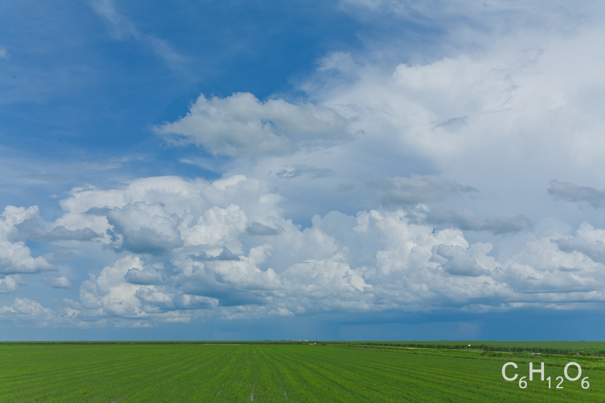 IMAGE: http://www.guvmentcheese.com/jd0gg/landscape/1137-4234.jpg