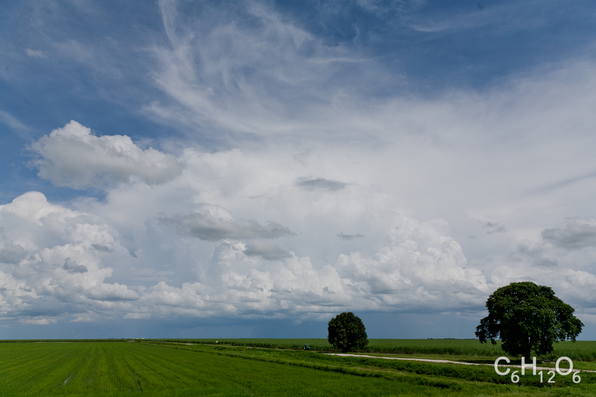 IMAGE: http://www.guvmentcheese.com/jd0gg/landscape/1137-4242.jpg