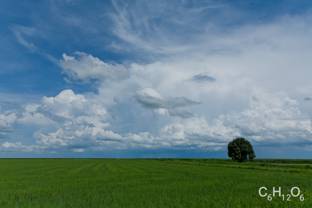 IMAGE: http://www.guvmentcheese.com/jd0gg/landscape/1137-4244.jpg