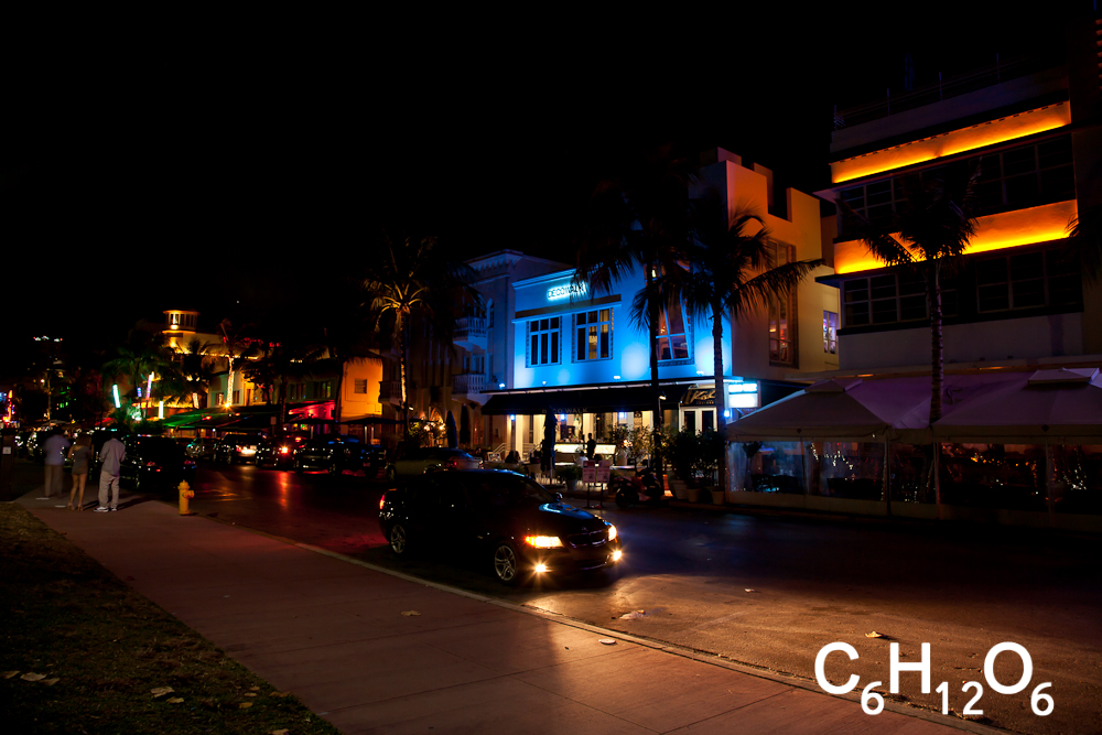 IMAGE: http://www.guvmentcheese.com/jd0gg/miami/1137-0451.jpg