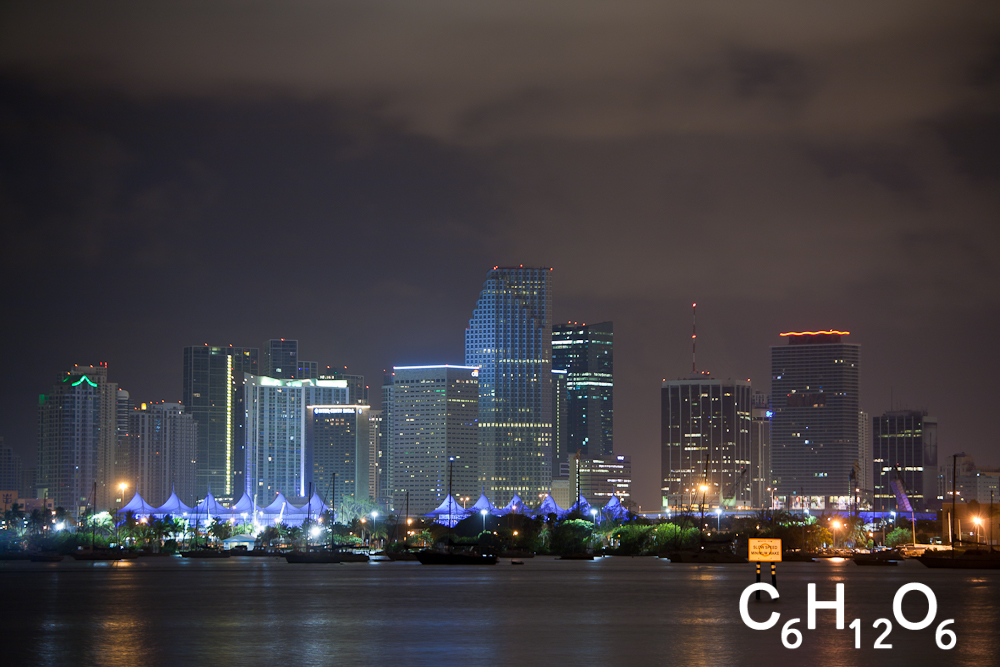 IMAGE: http://www.guvmentcheese.com/jd0gg/miami/1137-0473.jpg