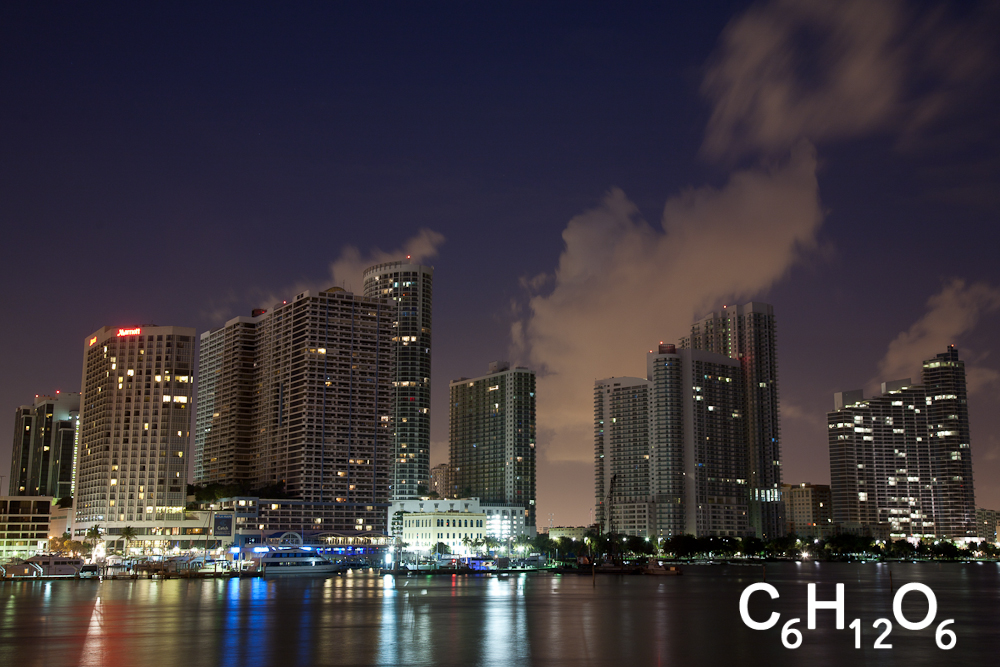 IMAGE: http://www.guvmentcheese.com/jd0gg/miami/1137-0485.jpg