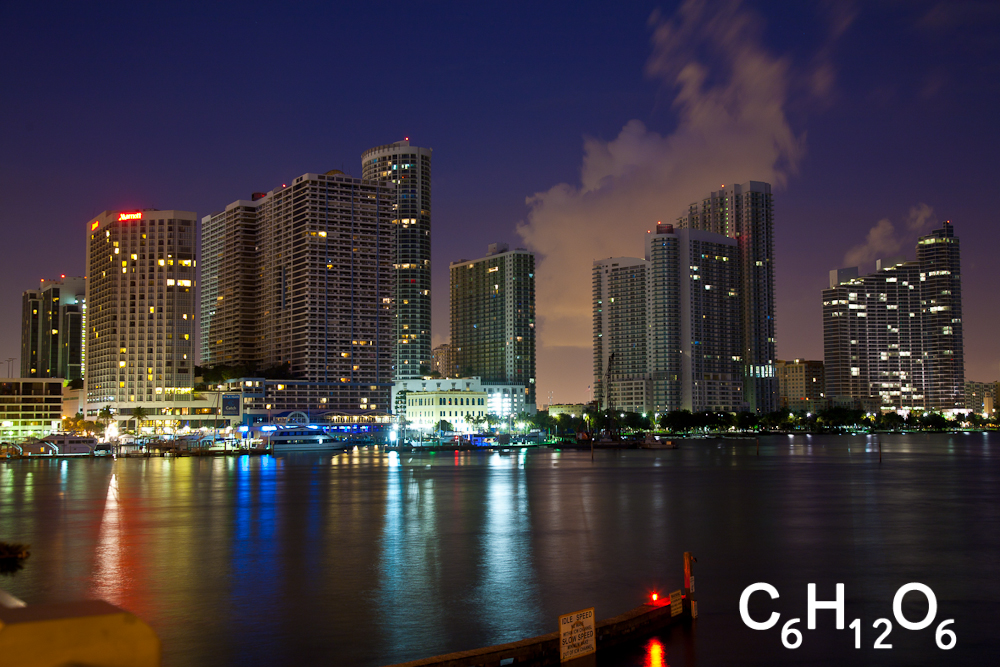 IMAGE: http://www.guvmentcheese.com/jd0gg/miami/1137-0487.jpg