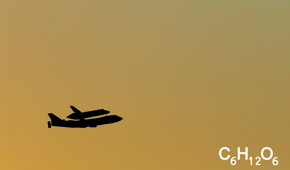 IMAGE: http://www.guvmentcheese.com/jd0gg/photos/1137-2968.jpg