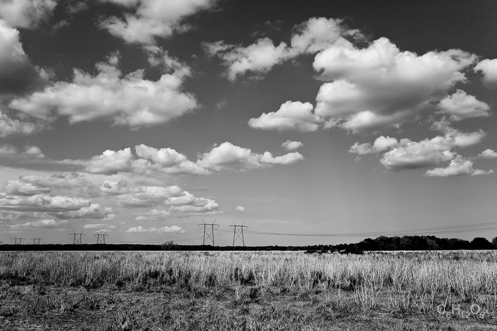 IMAGE: http://www.guvmentcheese.com/jd0gg/photos/1137-7023.jpg