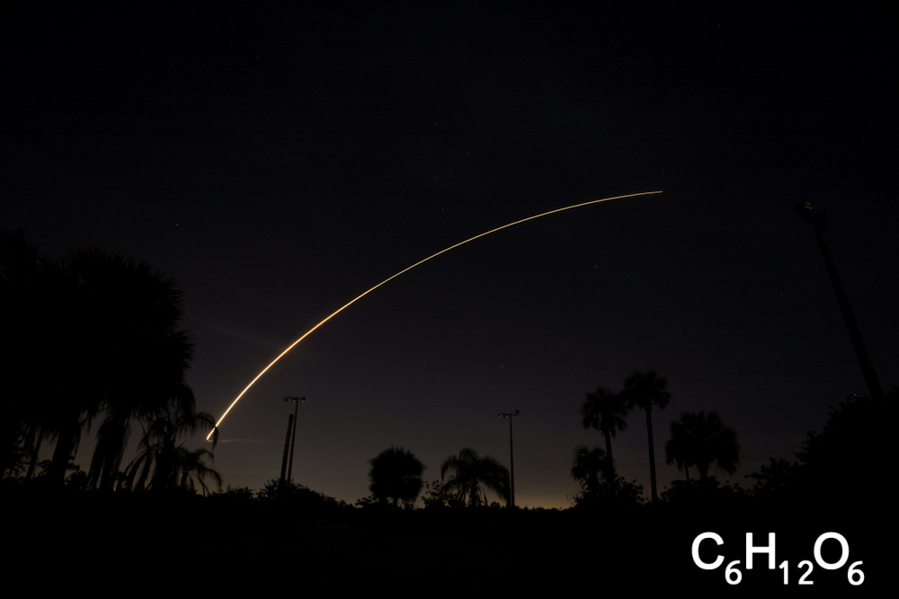 IMAGE: http://www.guvmentcheese.com/jd0gg/photos/1137l-0711.jpg