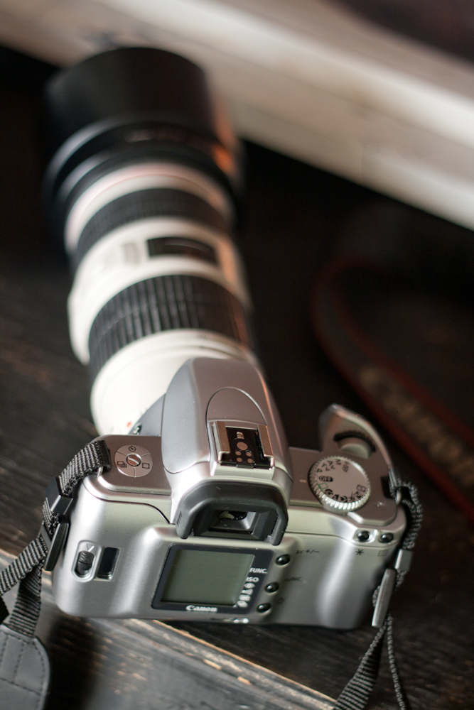 IMAGE: http://www.guvmentcheese.com/jd0gg/photos/1137l-5419.jpg