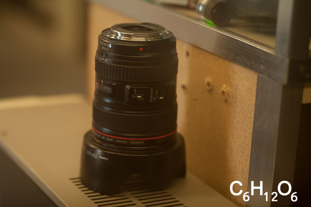 IMAGE: http://www.guvmentcheese.com/jd0gg/photos/90sample/1137-4633.jpg