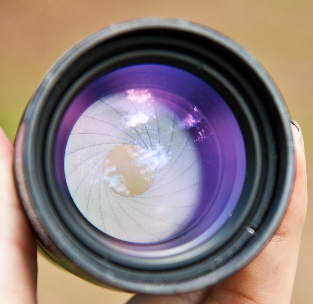 IMAGE: http://www.guvmentcheese.com/jd0gg/photos/90sample/1137-5219.jpg