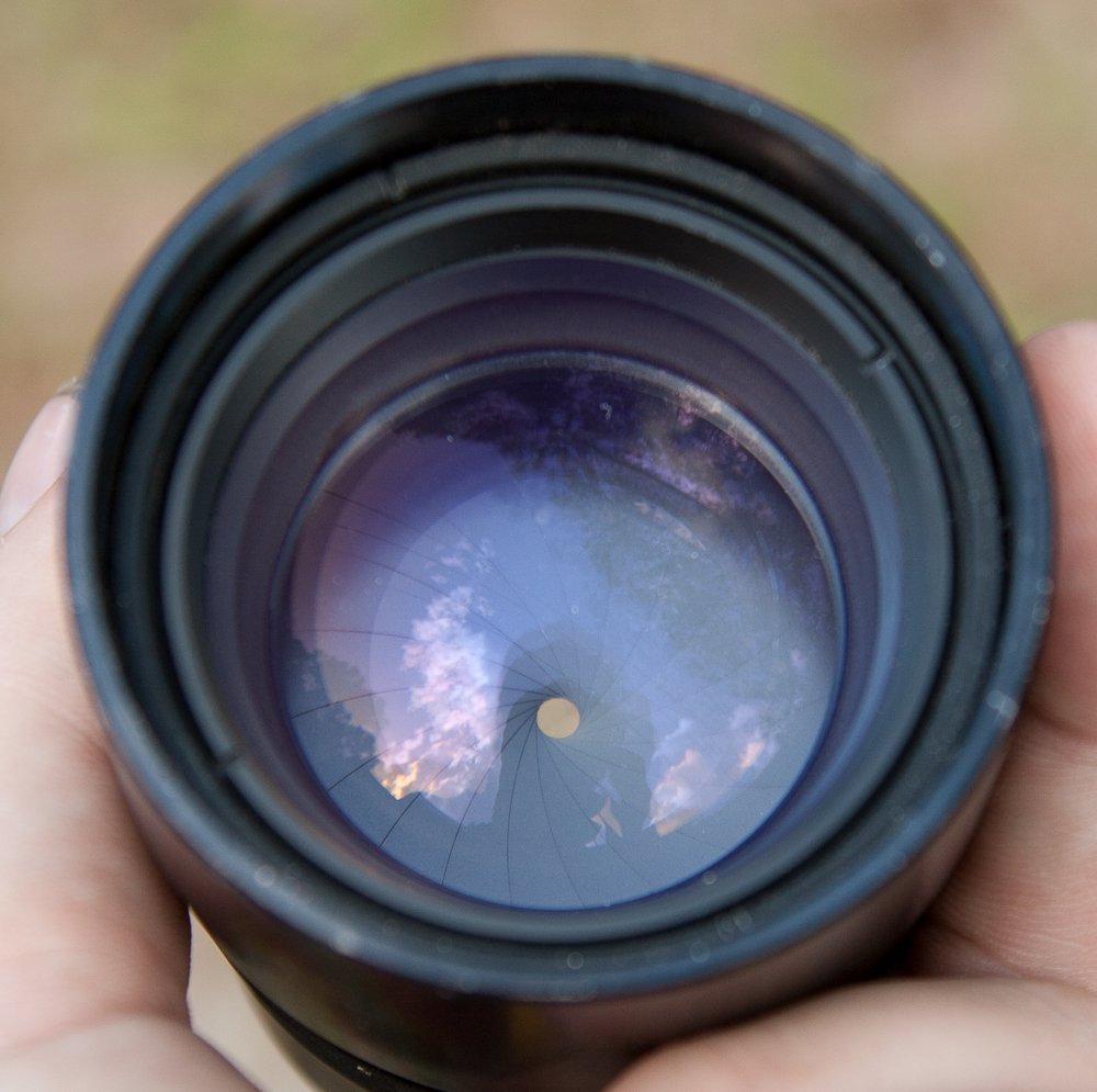 IMAGE: http://www.guvmentcheese.com/jd0gg/photos/90sample/1137-5221.jpg