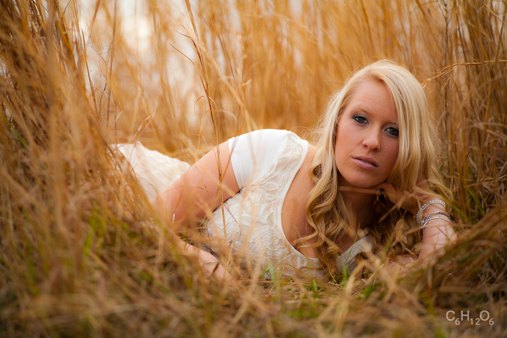 IMAGE: http://www.guvmentcheese.com/jd0gg/photos/client/nl/1137-5297.jpg