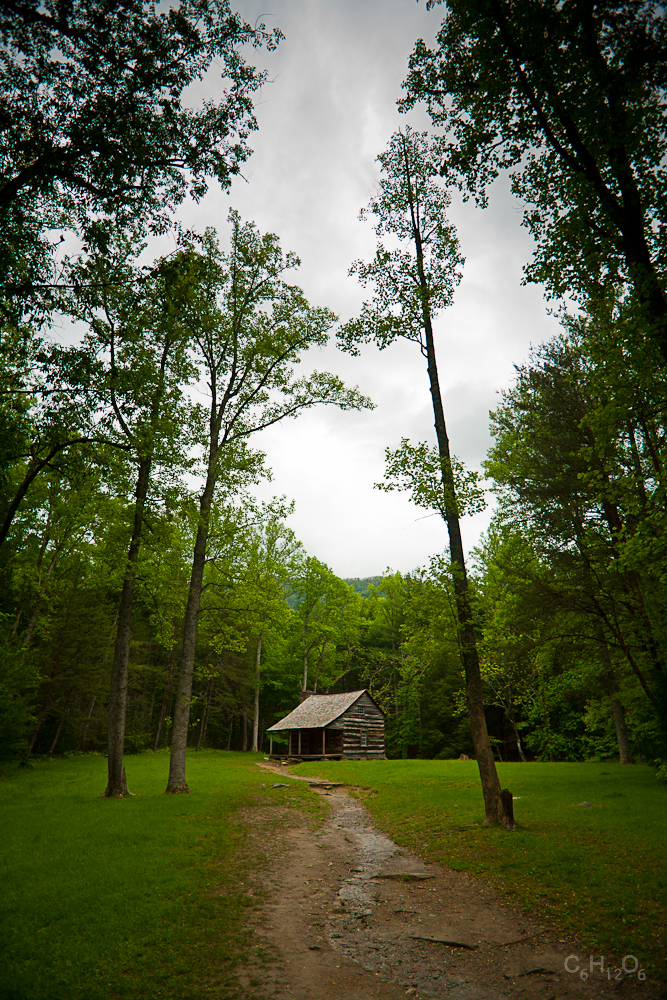 IMAGE: http://www.guvmentcheese.com/jd0gg/photos/ne/1137-9080.jpg