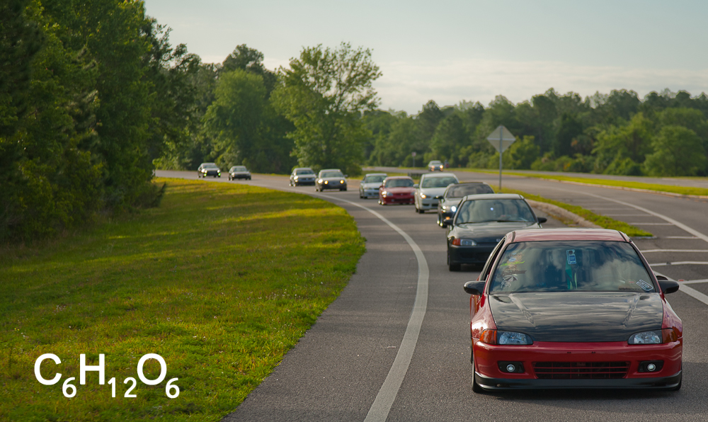 IMAGE: http://www.guvmentcheese.com/jd0gg/photos/v2lab/1137-5716.jpg