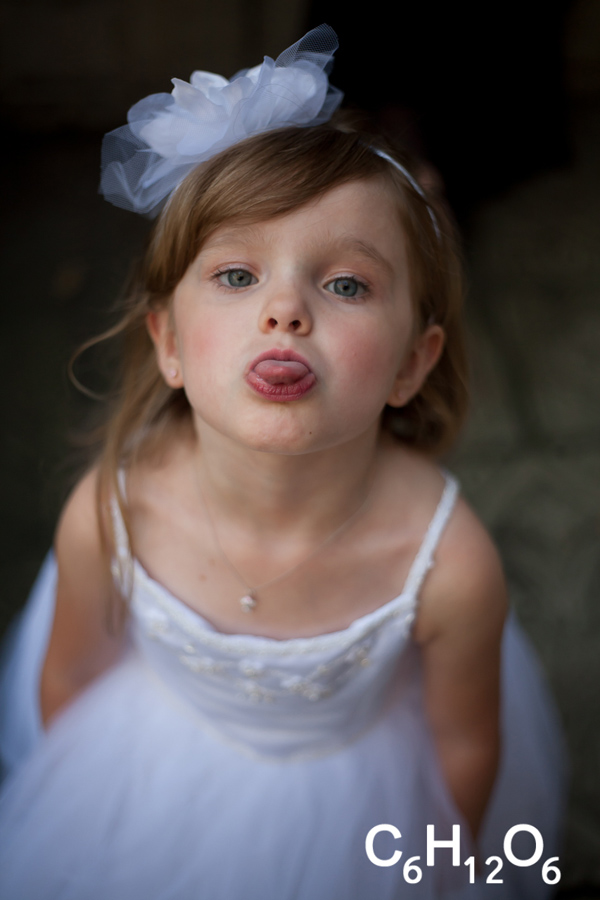 IMAGE: http://www.guvmentcheese.com/jd0gg/photos/wed/sus/1137s-7777.jpg