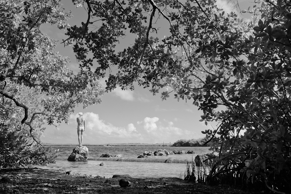 IMAGE: http://www.guvmentcheese.com/jd0gg/potn/1137-6229.jpg