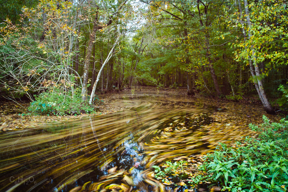 IMAGE: http://www.guvmentcheese.com/jd0gg/potn/1137c-0832-2.jpg