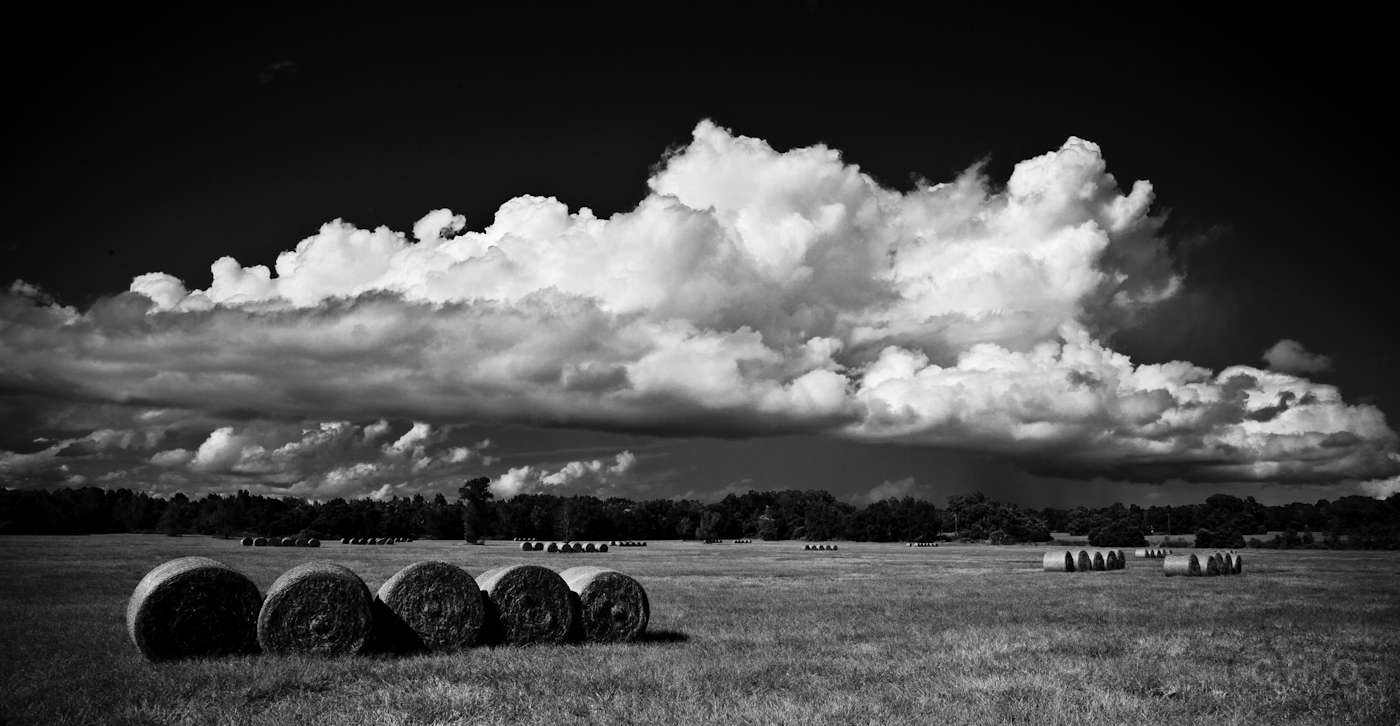 IMAGE: http://www.guvmentcheese.com/jd0gg/pt/1137-3897.jpg