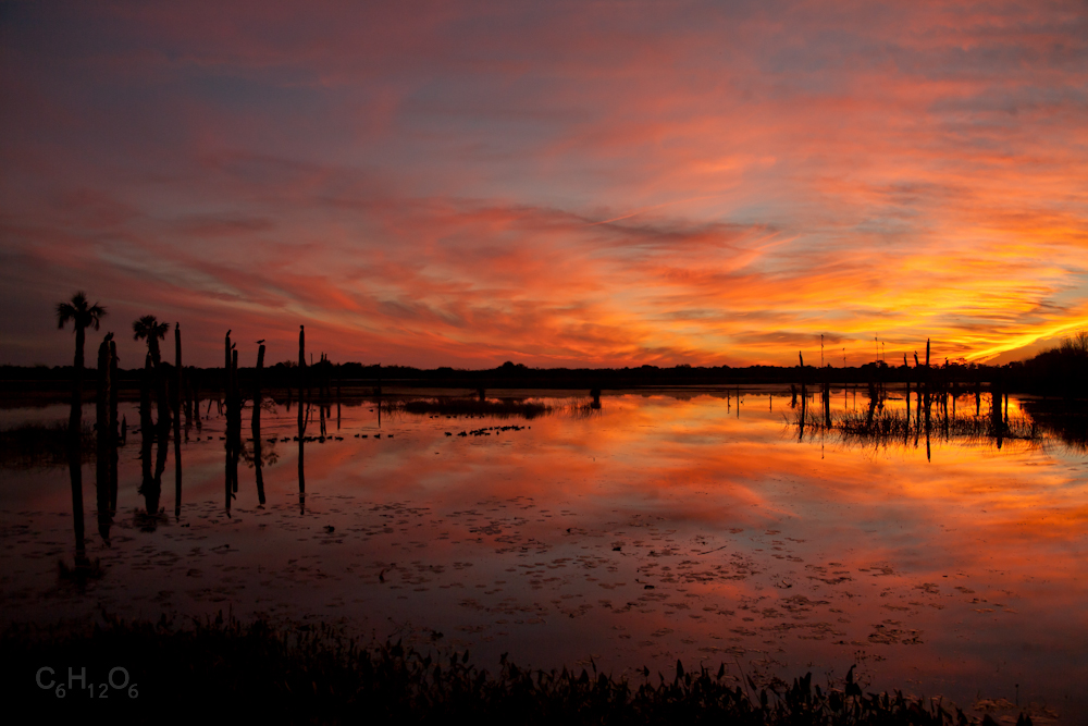 IMAGE: http://www.guvmentcheese.com/jd0gg/pt/1137-6665.jpg