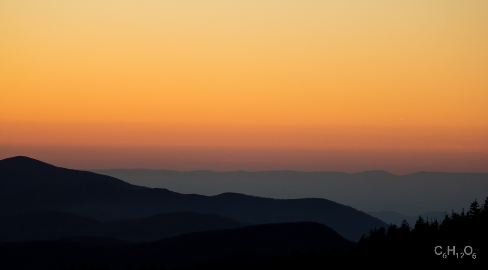 IMAGE: http://www.guvmentcheese.com/jd0gg/tenn/1137-8853.jpg