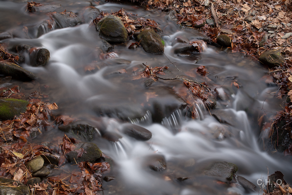 IMAGE: http://www.guvmentcheese.com/jd0gg/tenn/1137-9349.jpg